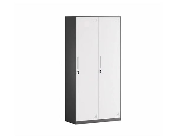 10mm thin edge  2-Door steel Locker